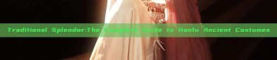 Traditional Splendor:The Complete Guide to Hanfu Ancient Costumes
