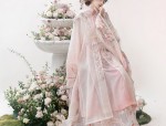 Initial Autumn Elegance:The Revival of Hanfu Fashion