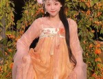 Introduction to Traditional Hanfu Costumes with Integrated Hairpieces for Beginners