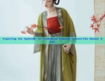 Plus-Size汉服爱好者，探索长衫汉服的魅力之旅