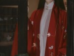 The Evolution of Puff-Sleeved Robes and Their Cultural Significance in Traditional Chinese Clothing