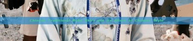 Chinese Traditional Robe Skirt and its Allure of Chinese Style