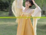The Imperial Era of China:The Rise of Palace-Style Cheongsam in the Republic of China