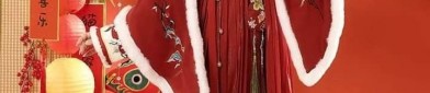 Childrens Traditional Chinese Hanfu Costumes:Embracing the Essence of Chinese Heritage