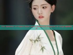The Splendor of Shanxi-Style Hanfu Robes:The Elegance of Large-袖汉服女装