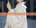 The Waist-to-Hip Ratio in Cheongsam:A Cultural and Stylistic Exploration