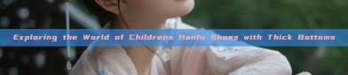 Exploring the World of Childrens Hanfu Shoes with Thick Bottoms
