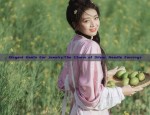 The Inner Layers of Hanfu:Understanding the Traditional Undergarments of Chinese Heritage