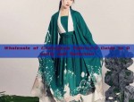 The Elegance of Hanfu Clothing:A Womans Half-Sleeve Blouse