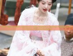 The Twelve Flower Deities in Hanfu Fashion:A Journey Through Time in Chinese Traditional Beauty