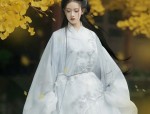 Hanfu in Song Dynasty:A Glimpse into the Splendid Cultural Heritage of Traditional Chinese Clothing