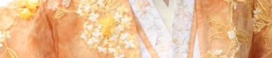 Elegant Womens Hanfu Dress Set:A Guide to Traditional Beauty