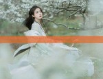 The Splendor of Tapestry Cheongsam:A Traditional Chinese Elegance