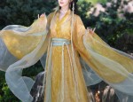 The Childrens Horseface Skirt:A Journey into Ancient Chinese Fashion