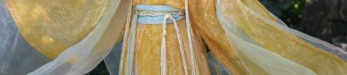 The Evolution of Traditional Hanfu Hair Accessories and Hair Combs:A Cultural Journey