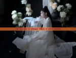 The Splendor of Changan Flower in Hanfu Fashion