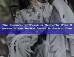 The Splendor of Women in Hanfu:The Wide Sleeves of the Jin-Wei Period in Ancient China