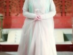 Ancient Charm of Hanfu Groups:A Journey into the Traditional Beauty of Chinese Cultural Clothing