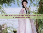 The Splendor of Ming-Style Hanfu:A Journey into Traditional Chinese Clothing