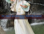 The Splendor of Hanfu Accessories:A Closer Look at Hand-held Trinkets