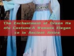 Performing in Traditional Hanfu Costumes:Unveiling the Splendor of Ancient Chinese Attire