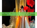 The Caozhou Xinyue Maimen Skirt:A Glimpse into Traditional Chinese Dress