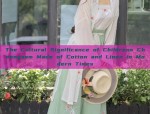 The Evolution of Hanfu Fashion:Post-Childhood Tradition and Modernity