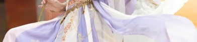 The Embroidery of Horseface Skirt Fabric:A Journey into the World of Patterned Textiles