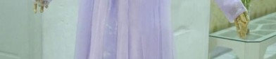 Chiffon Hanfu Dress Evolution:The Modernized Snowy Elegance