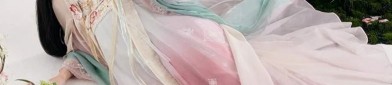 Hanfu Style:Integration of Hair and Wig for Traditional Tang-Style Coiffure