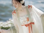 A Fairy-like Princess in a Hanfu Girls Q群 Skirt