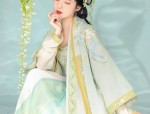 Splendor of the Hanfu:A Red Chest-Length Robe with a Skirt Length of 12 Meters