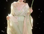 Fringes and Headdresses:Exploring the Cultural Significance of Hanfu with Tassel Decorations