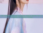 The Tang-Era Hanfu and Tang-Style Robes:A Journey into the Splendor of Tang-Era Clothing