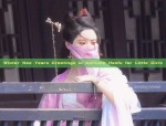 The Enchantment of Hanfu Fashion:The Subtle Charm of Scallop Fans as Accessories