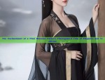 Traditional Chinese Style Childrens Tang Suit and Hooded卫衣