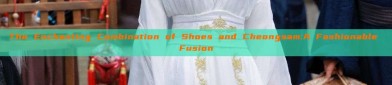 The Enchanting Combination of Shoes and Cheongsam:A Fashionable Fusion
