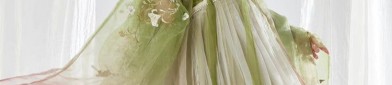 The Splendor of Hanfu Fashion:A Chiffon Blouse Story