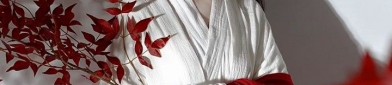 Splendor of Song-Era Red Hanfu:A Journey into Traditional Chinese Elegance