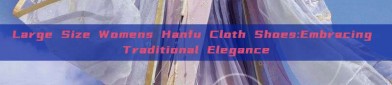 Large Size Womens Hanfu Cloth Shoes:Embracing Traditional Elegance