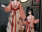 Exploring the World of Childrens Hanfu Embroidered Shoes with High Heels
