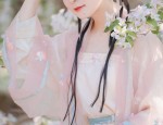 The Splendor of Hanfu:The Traditional Beauty of Qīng Dynasty Women in Chinese Hanfu Clothing