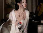 The Rise of Hanfu Fake Sleeves:Understanding the Cultural Significance and Fashion Trends
