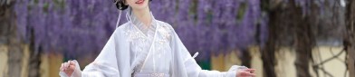 Mini-Sized Mandarin-Style Horseface Skirt:Embracing the Essence of Traditional Chinese Fashion