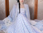 The Splendor of Hanfu:The Traditional Beauty of Qīng Dynasty Women in Chinese Hanfu Clothing