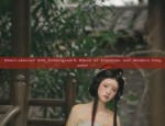 Exploring the Rise of Blue Hanfu Shoes with Height Enhancement