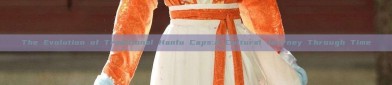 The Evolution of Traditional Hanfu Caps:A Cultural Journey Through Time