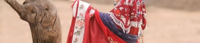 Reimagining Traditional Hanfu as a Modern Toast Robe:A Journey of Evolution and Revival