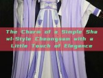 The Complete Guide to Hanfu Yunjian:A Traditional Chinese Fashion Statement