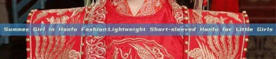 Summer Girl in Hanfu Fashion:Lightweight Short-sleeved Hanfu for Little Girls